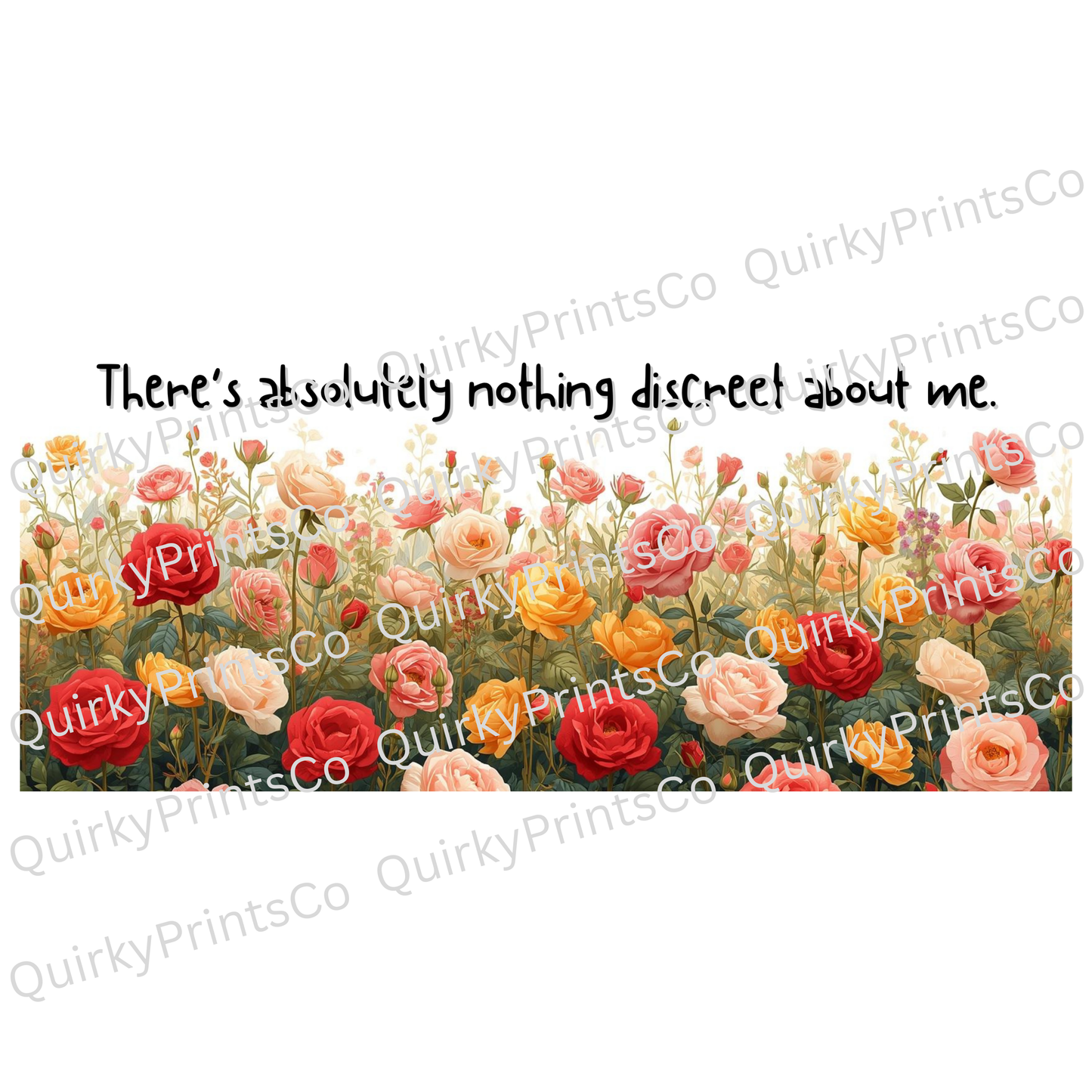 There's Absolutely Nothing Discreet About Me Sarcastic Mug – Ceramic Coffee Cup (11oz,)